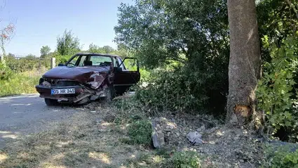 Amasya'da ağaca çarpan otomobildeki 2 kişi yaralandı