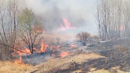 Yozgat’ta peş peşe çıkan yangınlar korkuttu