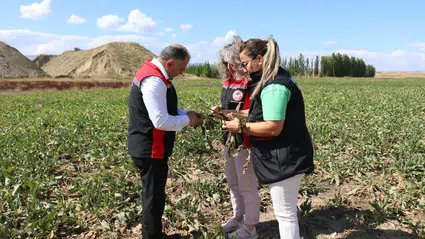 Taş'tan Köprüalan Köyü'ne Ziyaret