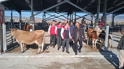 Hayvan Pazarı Kapılarını Açtı