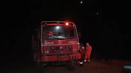 Arazi Yangının Ormana Sıçramasını Ekipler Önledi