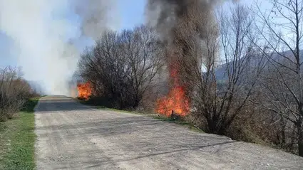 Taşova'da otluk alanda çıkan yangın söndürüldü