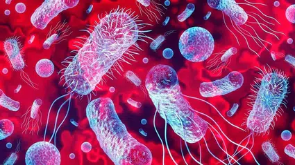"Sepsis" erken fark edilmezse ciddi sağlık sorunlarına yol açabilir
