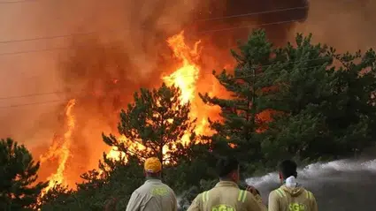 Kastamonu-Karabük sınırında çıkan ikinci yangına müdahale ediliyor