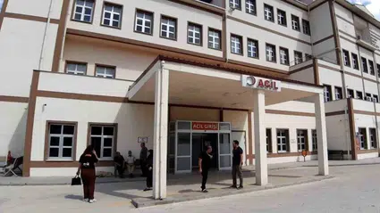 Bolu'da insanlara saldıran ayının ihtiyaç halinde avlanması kararı alındı