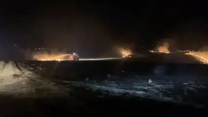 Alevlere Teslim Olan 300 Dönüm Mera Küle Döndü