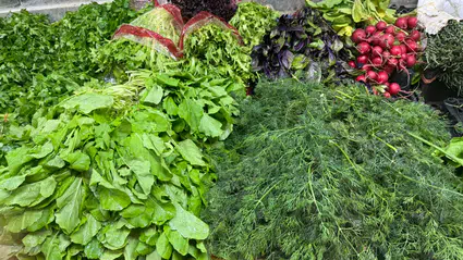 Sofraların Şifa Kaynağı: Dereotu