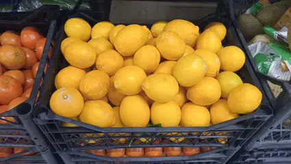 Sarı Şifa: Limon