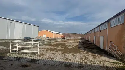 Dodurga’da Hayvancılık İşletmeleri Mercek Altında