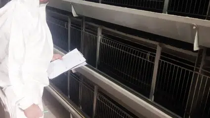 Kanatlı İşletmelerine Sıkı Takip