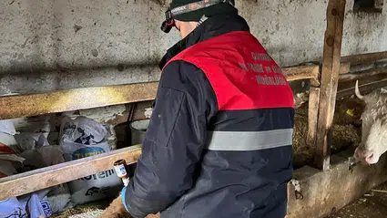 Ahırlarda Sağlık Nöbeti