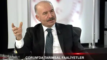 Leblebinin Ötesindeki Gizli Gücü Anlattı