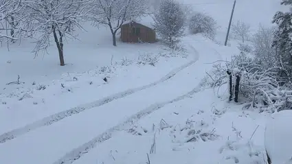 Ceviz Diyarında Kartpostallık Görüntüler