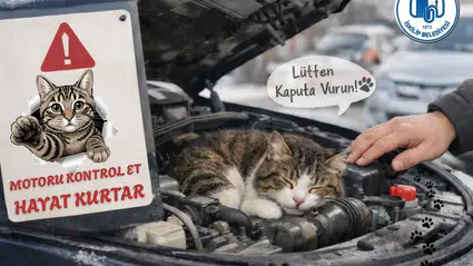 ‘Kaputa Vur, Hayat Kurtar’