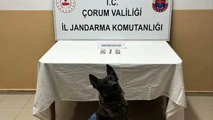 Jandarma, Her Yeri Didik Didik Aradı