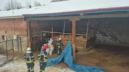 Hayvanlarına Yem Hazırlarken Canından Oldu