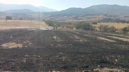 İki Ayrı Noktada Çıkan Yangın Söndürüldü