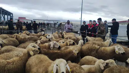 Hayvan Pazarı’nda Üreticinin Talepleri Dinlendi