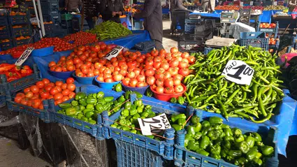 Kışlık Domates: Besin Değeri Tartışması