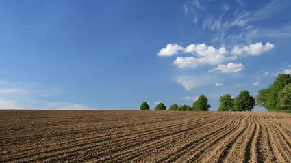 Vatandaşların en çok tercih ettiği gayrimenkul belli oldu