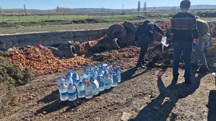 Operasyonla Yakalanmıştı, İmha Edildi