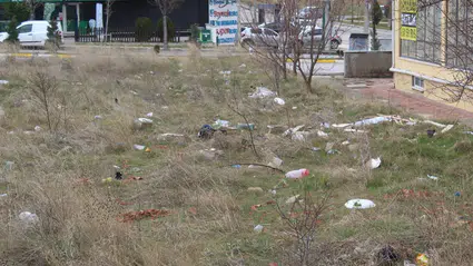 Şehir Genelinde Sigara İzmariti Kirliliği