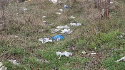 Apartman Sakinlerinden Pencerelerden Atılan Çöplere Tepki