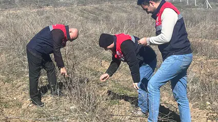 Aronya Üretimi Destekleniyor