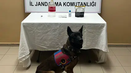 Jandarma Kapıyı Çalınca Ortaya Çıktı