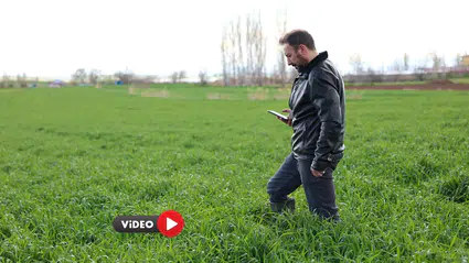 Tarladaki Gizli Düşmana Karşı Yapay Zeka Kalkanı