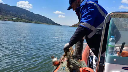 Obruk’ta Kaçak Avcılığa Geçit Yok