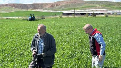 Hububat Alanları Hastalıklara Karşı Mercek Altında