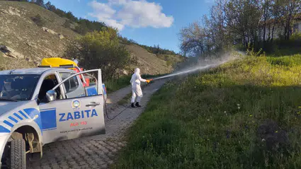 Haşere ve Sivrisineklere Karşı Erken Önlem