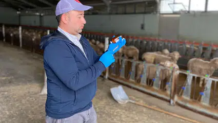 Hayvan Sağlığı İçin Sahada Titiz Çalışma