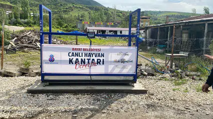 Hayvan Pazarına Ücretsiz Canlı Hayvan Kantarı