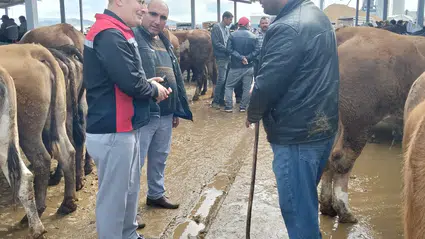 Sungurlu’da Güvenli Kurban Alışverişi İçin Denetimler
