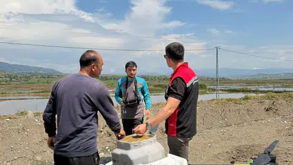 Laçin’de Çeltik Ekimi Yapıldı