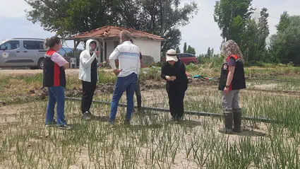 Beyaz Çürüklük Hastalığı İçin Saha Mesaisi