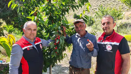 Bağcılara Yerinde Teknik Danışmanlık