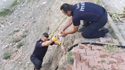 Çaya Düşen Kediyi İtfaiye Kurtardı