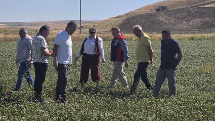 Çiftçinin Yeni Gelir Kapısında Verim Mesaisi