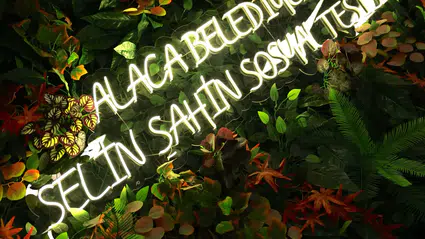 Alaca’nın Yeni Uğrak Noktası