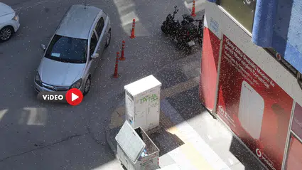 Firari Arıları Böyle Yakaladılar