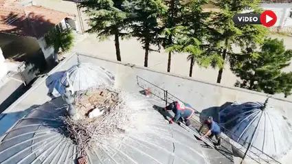 Yavru Leyleği İtfaiye Ekipleri Böyle Kurtardı