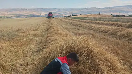 Dane Kaybına Geçit Verilmiyor