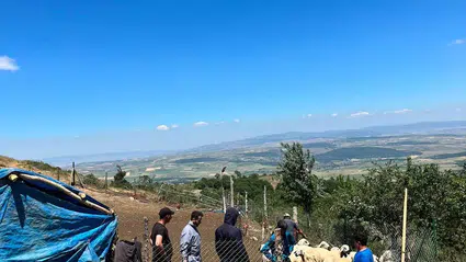 Aşılama ve Küpeleme Mesaisi Sürüyor