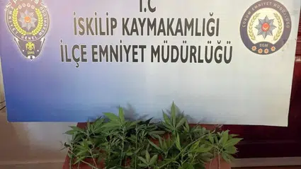 Çorum'da Polisten Zehir Baskını