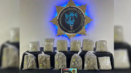 9,5 Kilogram Sentetik Uyuşturucu Ele Geçirildi