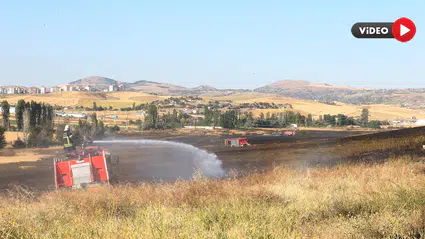 250 Dekarlık Arazi Küle Döndü
