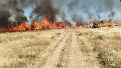 Sungurlu’da İki Noktada Çıkan Anız Yangını Söndürüldü